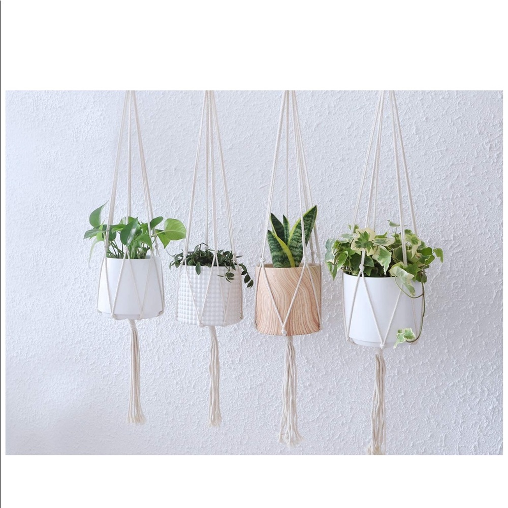 Indoor Plant Hangers